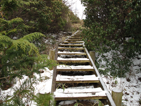 20181214hike (467)